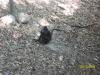 <img100*0:stuff/z/179797/%255e_-/100_0271.jpg>