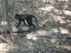 <img100*0:stuff/z/179797/%255e_-/100_0272.jpg>