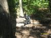 <img100*0:stuff/z/179797/%255e_-/100_0273.jpg>
