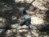 <img100*0:stuff/z/179797/%255e_-/100_0274.jpg>