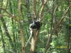 <img100*0:stuff/z/179797/%255e_-/100_0279.jpg>