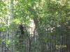 <img100*0:stuff/z/179797/%255e_-/100_0281.jpg>