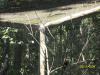 <img100*0:stuff/z/179797/%255e_-/100_0282.jpg>