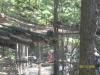 <img100*0:stuff/z/179797/%255e_-/100_0283.jpg>