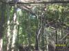 <img100*0:stuff/z/179797/%255e_-/100_0285.jpg>