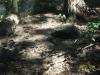 <img100*0:stuff/z/179797/%255e_-/100_0286.jpg>