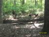 <img100*0:stuff/z/179797/%255e_-/100_0287.jpg>
