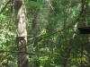 <img100*0:stuff/z/179797/%255e_-/100_0289.jpg>