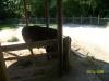 <img100*0:stuff/z/179797/%255e_-/100_0290.jpg>