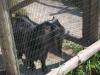 <img100*0:stuff/z/179797/%255e_-/100_0293.jpg>