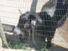 <img100*0:stuff/z/179797/%255e_-/100_0294.jpg>
