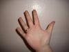 <img100*0:stuff/z/179797/%255e_-/100_1816.jpg>
