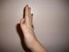 <img100*0:stuff/z/179797/%255e_-/100_1817.jpg>