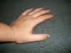 <img100*0:stuff/z/179797/%255e_-/100_1819.jpg>