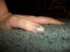 <img100*0:stuff/z/179797/%255e_-/100_1820.jpg>