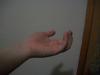 <img100*0:stuff/z/179797/%255e_-/100_1856.jpg>