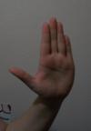 <img100*0:stuff/z/179797/%255e_-/100_1862.jpg>