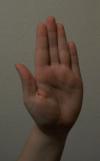 <img100*0:stuff/z/179797/%255e_-/100_1863.jpg>