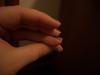 <img100*0:stuff/z/179797/%255e_-/100_1864.jpg>