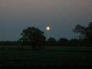 <img0*100:stuff/z/179797/%255e_-/45.jpg>