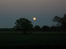 <img0*100:stuff/z/179797/%255e_-/46.jpg>