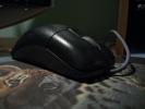 <img0*100:stuff/z/179797/%255e__%255e/37.jpg>