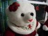<img100*0:stuff/z/179797/April%2527s%2520Pics%2520Addition%2520PG/100_1575.jpg>