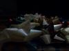 <img100*0:stuff/z/179797/April%2527s%2520Pics%2520Addition%2520PG/100_1585.jpg>