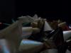 <img100*0:stuff/z/179797/April%2527s%2520Pics%2520Addition%2520PG/100_1586.jpg>
