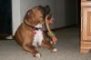<img100*0:stuff/z/179797/April%2527s%2520Pics%2520Addition%2520PG/100_1614.jpg>