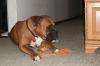 <img100*0:stuff/z/179797/April%2527s%2520Pics%2520Addition%2520PG/100_1615.jpg>