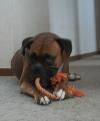 <img100*0:stuff/z/179797/April%2527s%2520Pics%2520Addition%2520PG/100_1616.jpg>
