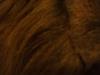 <img100*0:stuff/z/179797/April%2527s%2520Pics%2520Addition%2520PG/100_1672.jpg>