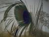 <img100*0:stuff/z/179797/April%2527s%2520Pics%2520Addition%2520PG/100_1673.jpg>