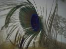 Texture Photos
