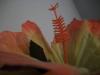 <img100*0:stuff/z/179797/April%2527s%2520Pics%2520Addition%2520PG/100_1674.jpg>
