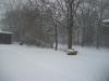 <img100*0:stuff/z/179797/April%2527s%2520Pics%2520Addition%2520PG/100_1699.jpg>
