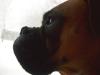 <img100*0:stuff/z/179797/April%2527s%2520Pics%2520Addition%2520PG/100_1703.jpg>