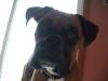 <img100*0:stuff/z/179797/April%2527s%2520Pics%2520Addition%2520PG/100_1715.jpg>