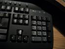 <img0*100:stuff/z/179797/April%2527s%2520Pics%2520Addition%2520PG/100_1720.jpg>