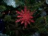 <img100*0:stuff/z/179797/April%2527s%2520Pics%2520Addition%2520PG/100_2214.jpg>