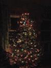<img100*0:stuff/z/179797/April%2527s%2520Pics%2520Addition%2520PG/100_2219.jpg>