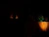 <img100*0:stuff/z/179797/April%2527s%2520Pics%2520Addition%2520PG/100_2263.jpg>
