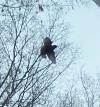 <img100*0:stuff/z/179797/April%2527s%2520Pics%2520Addition%2520PG/100_2642.jpg>