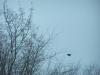 <img100*0:stuff/z/179797/April%2527s%2520Pics%2520Addition%2520PG/100_2648.jpg>
