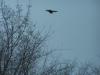 <img100*0:stuff/z/179797/April%2527s%2520Pics%2520Addition%2520PG/100_2649.jpg>