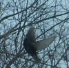 <img100*0:stuff/z/179797/April%2527s%2520Pics%2520Addition%2520PG/100_2651.jpg>