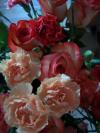 <img100*0:stuff/z/179797/April%2527s%2520Pics%2520Addition%2520PG/100_2714.jpg>