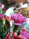 <img100*0:stuff/z/179797/April%2527s%2520Pics%2520Addition%2520PG/100_2716.jpg>