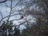 <img100*0:stuff/z/179797/April%2527s%2520Pics%2520Addition%2520PG/100_2726.jpg>